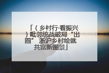 （乡村行·看振兴）毗邻统战破局“出圈” 浙沪乡村绘就共富新图景